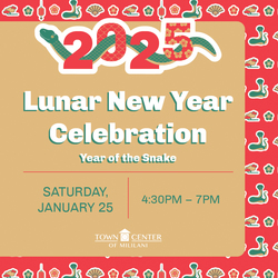 Lunar New Year Celebration