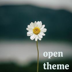 ‘OPEN THEME’ Photography Exhibit