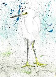 Exhibition: White Birds & Black Ink by Jillian Holladay