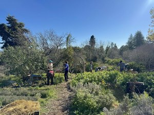Winter Volunteer Workday at the UCSC Farm Volunteer Garden