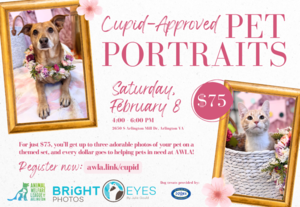 Cupid-Approved Pet Portraits