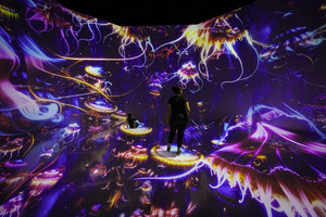 TWILIGHT ZONE: Hidden Wonders of the Ocean