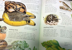 Nature Book and Look