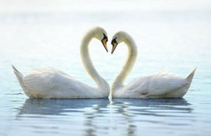 Love in Nature Treasure Hunt