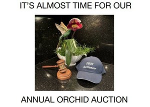 Annual Orchid Auction (Delray Beach Orchid Society)