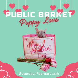 The Public Barket (Puppy Love Edition)