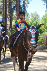 Friendly Pines Camp Hosts FREE Information Night at Fairmont Scottsdale Princess