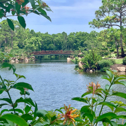Morikami Gardens: A Conversation About Art, History, Design, and Healing