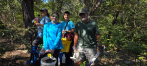 Invasive Plants Removal Workday in Bull Creek