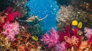 Seminar: South Florida's Seasonal Seas