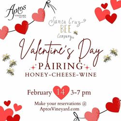 Valentine's Day Pairing