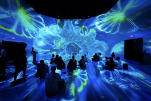 Explore the Deepest Depths of the Ocean in Washington, DC at ARTECHOUSE