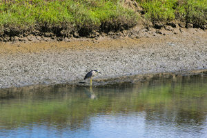 Nature Collective Hosts Discovery Tour