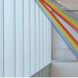 Bruce Beginnings Junior: Lines