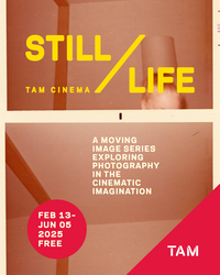 Still/Life: Photography in the Cinematic Imagination
