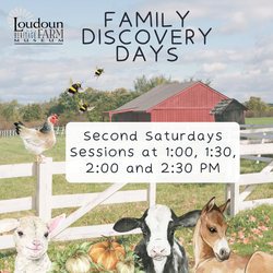 Family Discovery Day