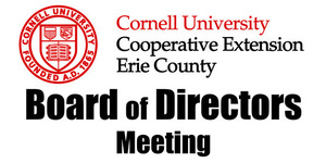 CCE Erie Board of Directors Capital Project Committee Meeting