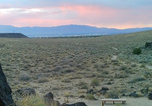 Guided Hike at Rinconada Canyon