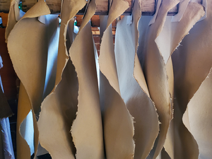 Cave Paper Studio Tour