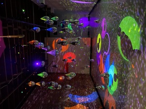 Openning Reception for Dave Meeker's "RAIN"