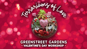 Terrariums of Love: Valentine's Day Workshop at Greenstreet