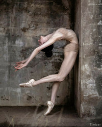 Phoenix Ballet Presents Their "Golden Swan Gala"