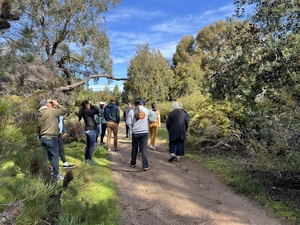First Saturday Tour at the UCSC Arboretum