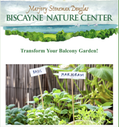 Balcony Garden Workshop