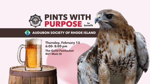 Love Birds Brew Night with the Audubon Society of Rhode Island