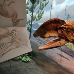 Bruce Beginnings: We Heart Dinosaurs