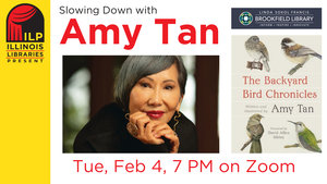 ILP: Slowing Down with Amy Tan