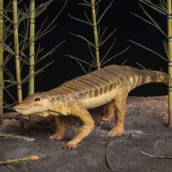 Bruce Beginning Juniors: We Heart Dinosaurs