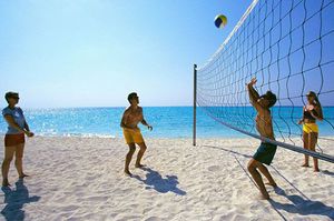 Join the Summer Fun - Avalon Shore House Shares Still Available!