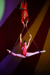 Venardos Circus presents "Decade of Dreams"