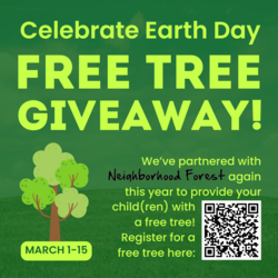Earth Day Trees from Neighborhood Forest
