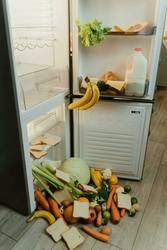 Reducing Food Waste at Home