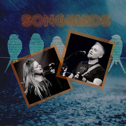 Songbirds Duo Live at Lansdowne Arms