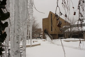 Know Your Rights Immigration Workshop