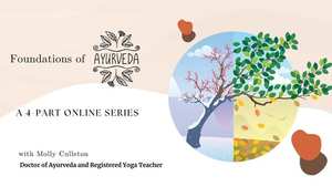 Foundations of Ayurveda with Molly Culleton (Workshop 4 of Online Series)
