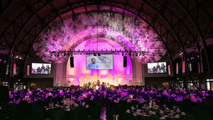 Make-A-Wish Illinois: Wish Ball