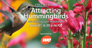 FREE WEBINAR: Attracting Hummingbirds with Melinda Myers