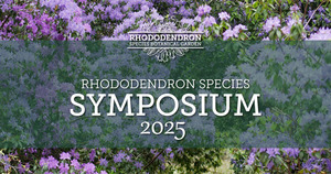 Rhododendron Species Symposium 2025