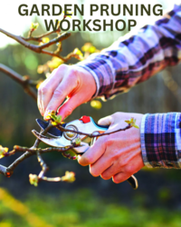 Garden Pruning Workshop
