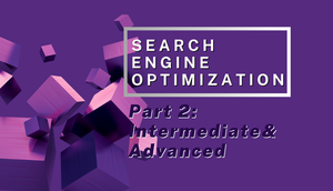 Search Engine Optimization Part 2: Intermediate & Advanced