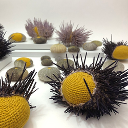 Artists’ Talk: Second Nature