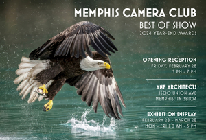 Memphis Camera Club Best of 2024 Exhibition