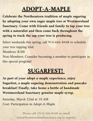 Westmoreland Sanctuary Adopt-A-Maple / Sugarfest!