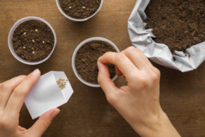 Spring Garden Open House at Purdue Technology Center