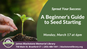 Sprout Your Success: A Beginner's Guide to Seed Starting