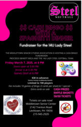 MSCA & 14U Lady Steel Cash Bingo Fundraiser
